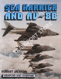 Sea Harrier and AV-8B by JACKSON, Robert